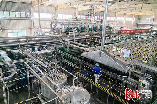 激發(fā)消費新活力 品質(zhì)體驗燕趙行 活動 第二站走進滄州