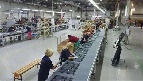 成都青白江 以開放產(chǎn)業(yè)為核心，推動集裝箱購銷高質(zhì)量發(fā)展